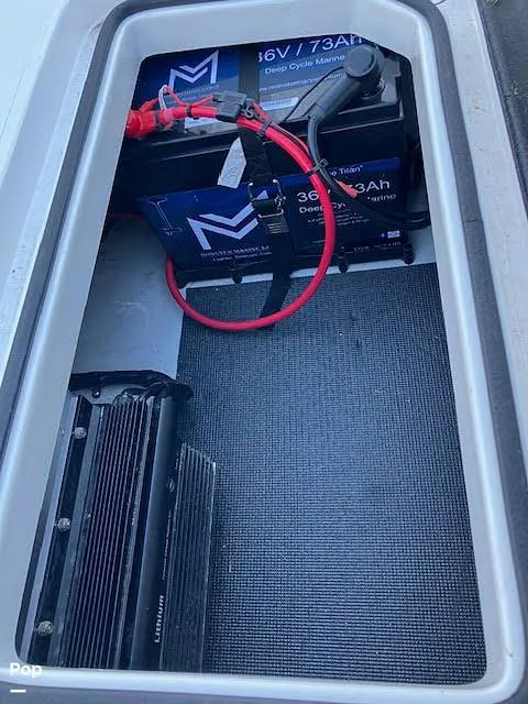 Slide: The Image of Mamba 227 2024 - 16105411