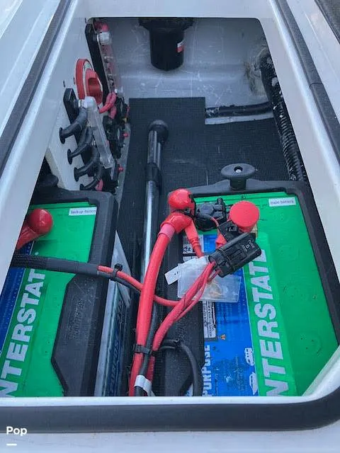 Slide: The Image of Mamba 227 2024 - 16105412