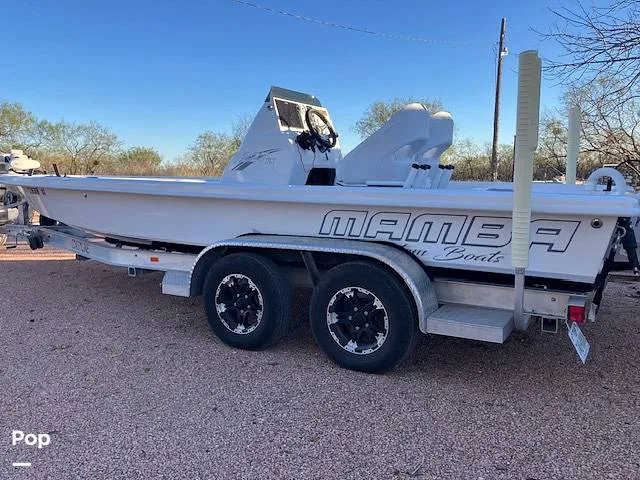 Slide: The Image of Mamba 227 2024 - 16106515