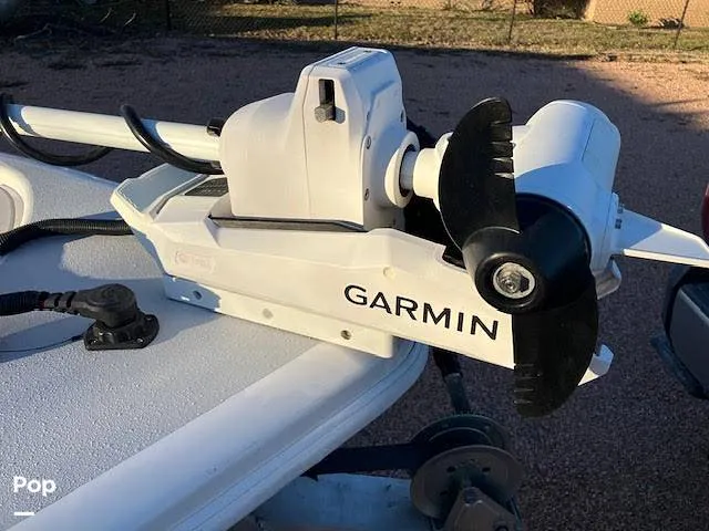 Slide: The Image of Mamba 227 2024 - 16105409