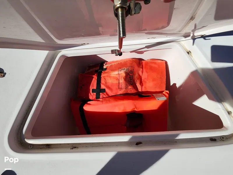 Slide: The Image of Sea Pro 248 DLX Bay 2020 - 16020852