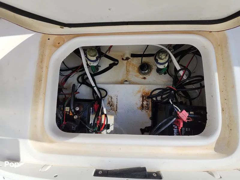 Slide: The Image of Sea Pro 248 DLX Bay 2020 - 16020893