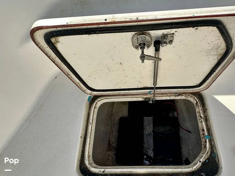 Slide: The Image of Sea Pro Bay 248 2022 - 16024123