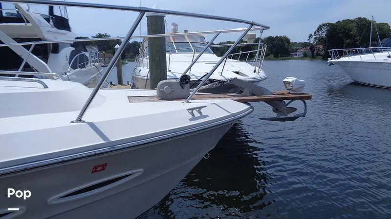 Slide: The Image of Sea Ray 390 1988 - 16579355