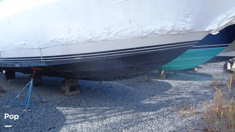 Slide: The Image of Sea Ray 390 1988 - 16087938