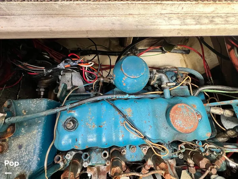 Slide: The Image of Fales 32 Navigator 1975 - 16277548