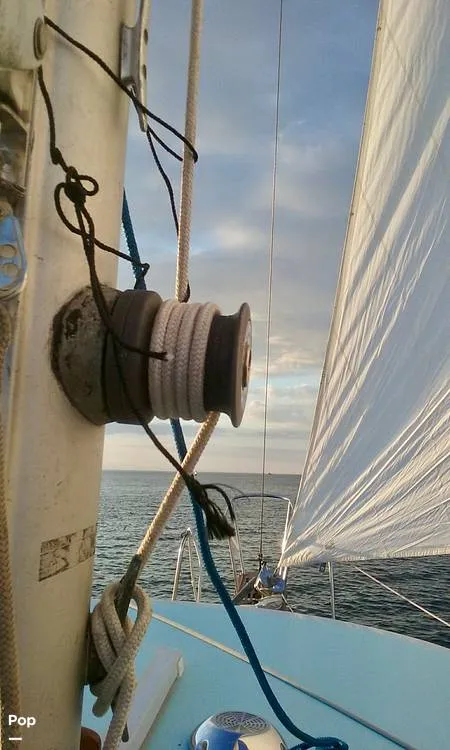 Slide: The Image of Fales 32 Navigator 1975 - 16191574