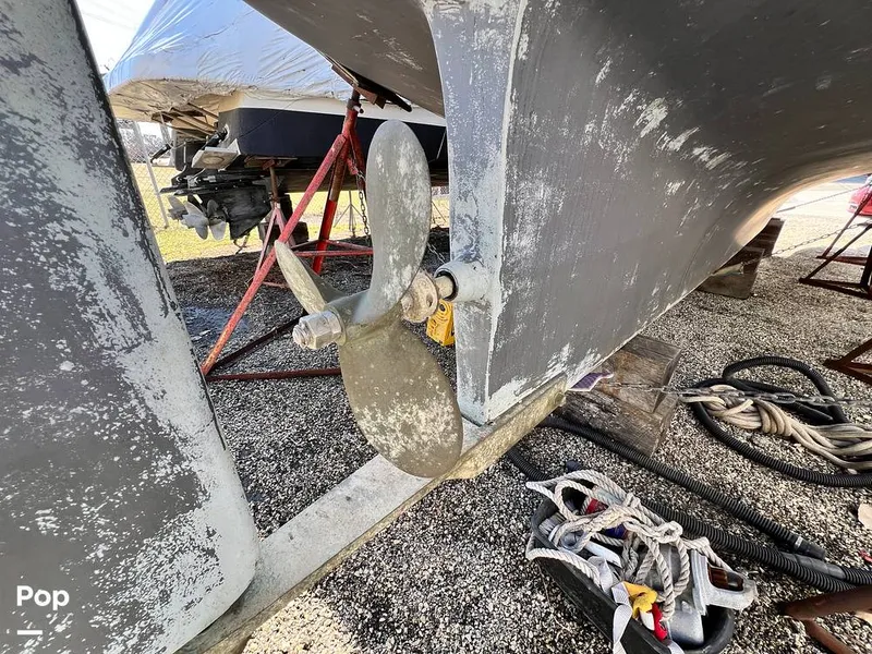 Slide: The Image of Fales 32 Navigator 1975 - 16277350