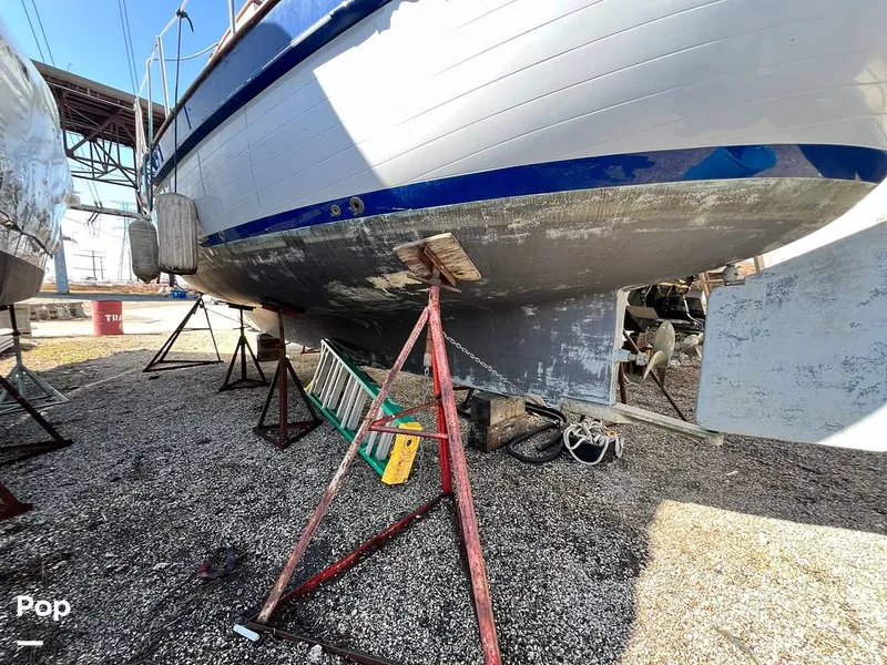 Slide: The Image of Fales 32 Navigator 1975 - 16277354