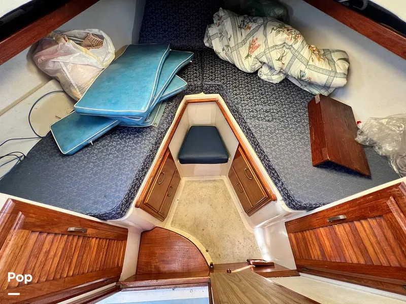 Slide: The Image of Fales 32 Navigator 1975 - 16277509