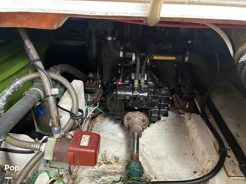 Slide: The Image of Bayliner 3888 1994 - 16057888