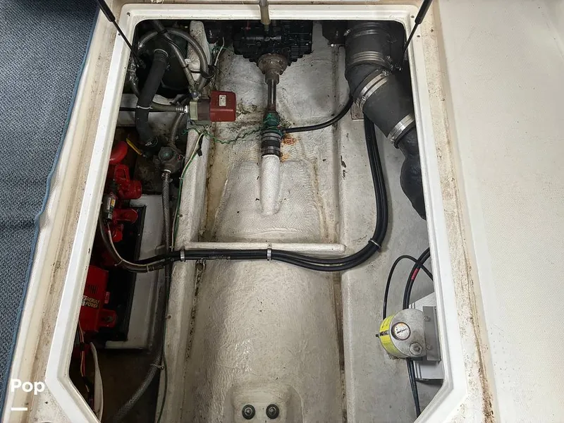 Slide: The Image of Bayliner 3888 1994 - 16057891