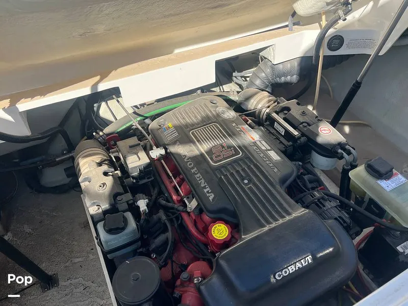 Slide: The Image of Cobalt 263 2007 - 16132119