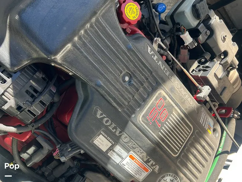 Slide: The Image of Cobalt 263 2007 - 16132120