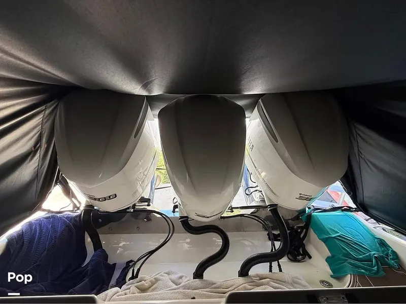 Slide: The Image of Cobia 344 2018 - 16029255