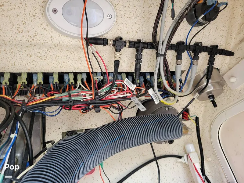 Slide: The Image of Sea Chaser 22 HFC 2022 - 16061888