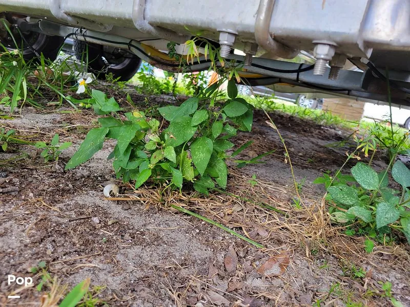 Slide: The Image of Sea Chaser 22 HFC 2022 - 16061937