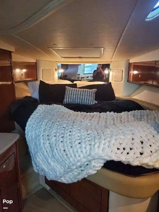 Slide: The Image of Sea Ray 310 Sundancer 2009 - 16067122