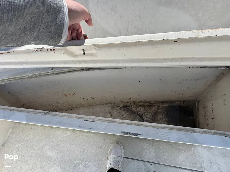 Slide: The Image of Angler 252F 2001 - 16042893