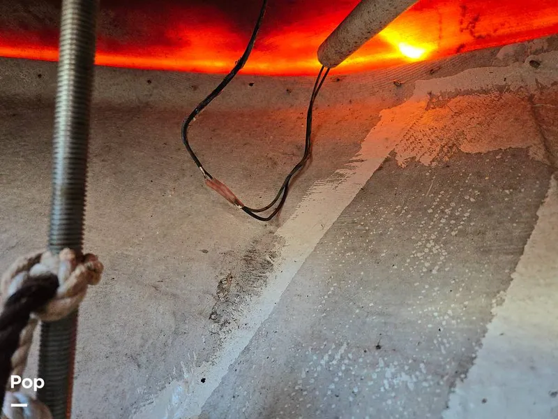 Slide: The Image of Mako 232 2002 - 16061975