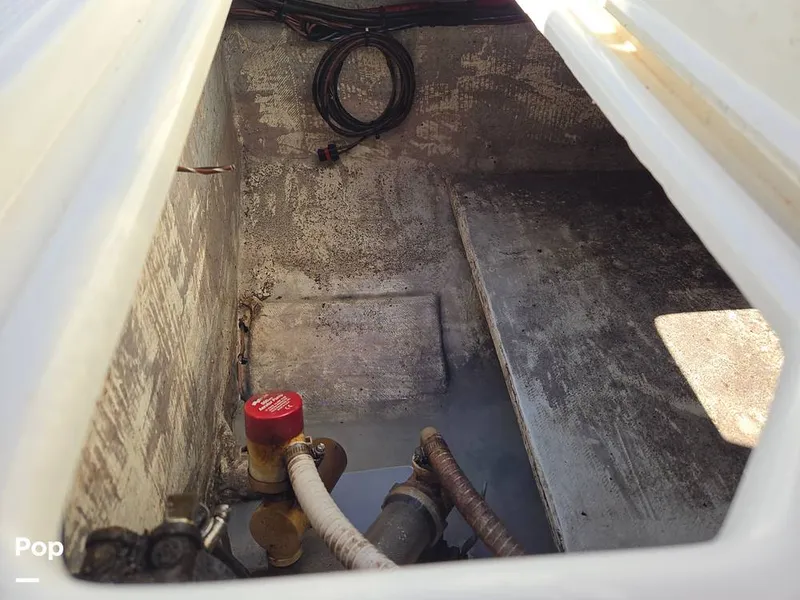 Slide: The Image of Mako 232 2002 - 16062002