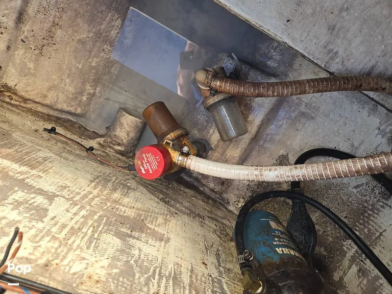 Slide: The Image of Mako 232 2002 - 16062004