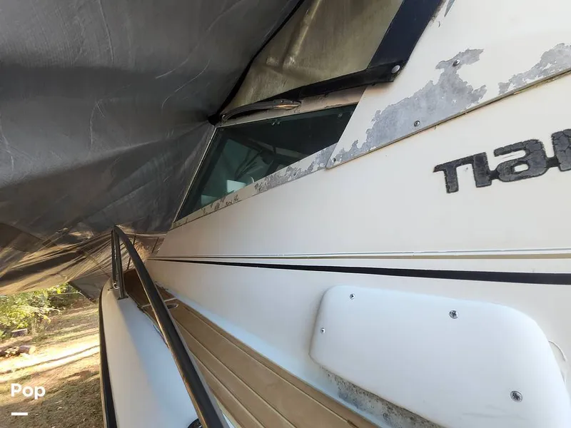 Slide: The Image of Tiara 3100 Open 1993 - 16053369