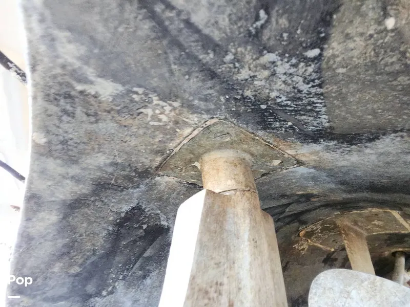 Slide: The Image of Tiara 3100 Open 1993 - 16053394