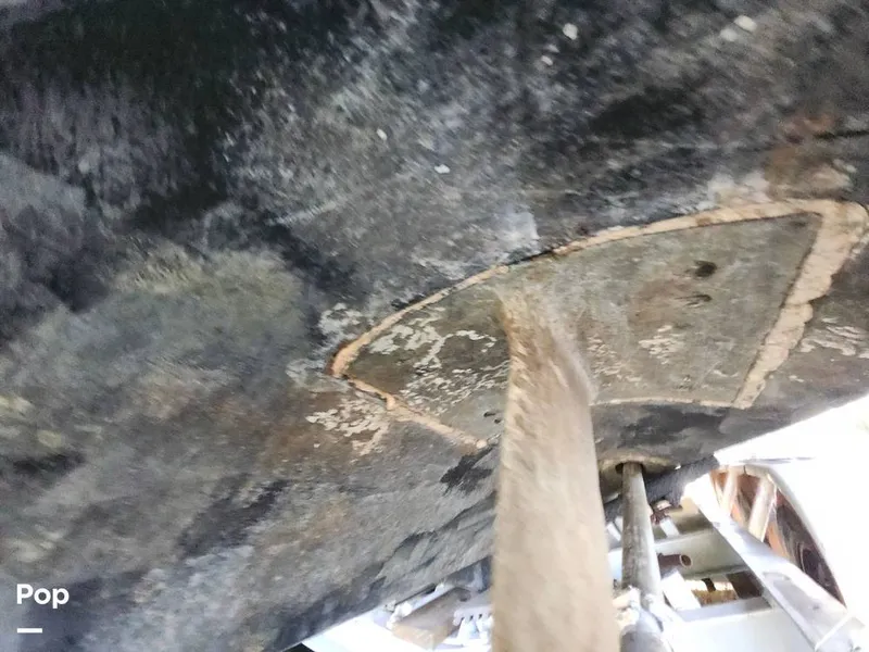 Slide: The Image of Tiara 3100 Open 1993 - 16053395