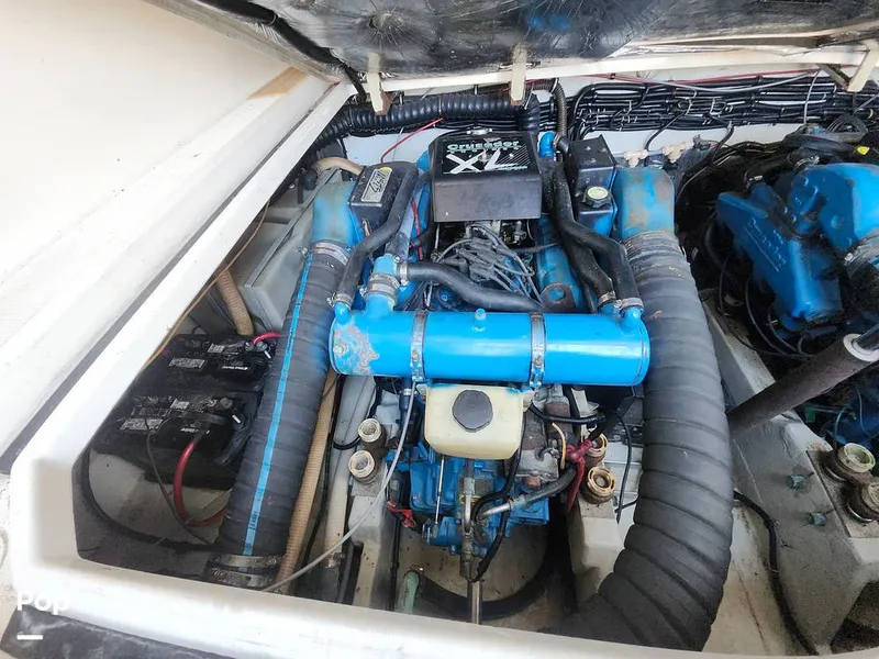 Slide: The Image of Tiara 3100 Open 1993 - 16053434