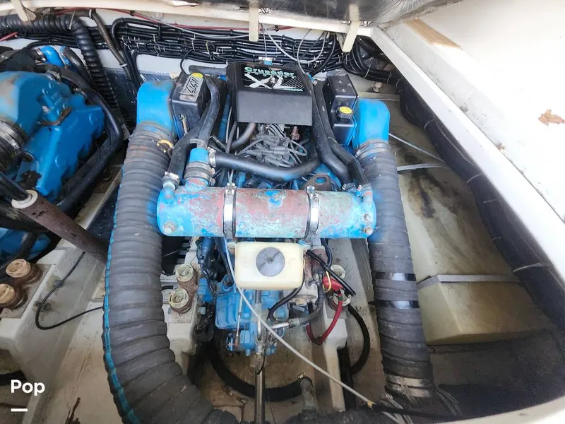 Slide: The Image of Tiara 3100 Open 1993 - 16053435