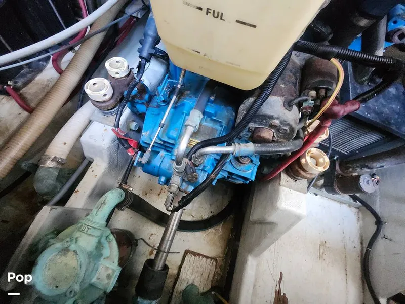 Slide: The Image of Tiara 3100 Open 1993 - 16053436