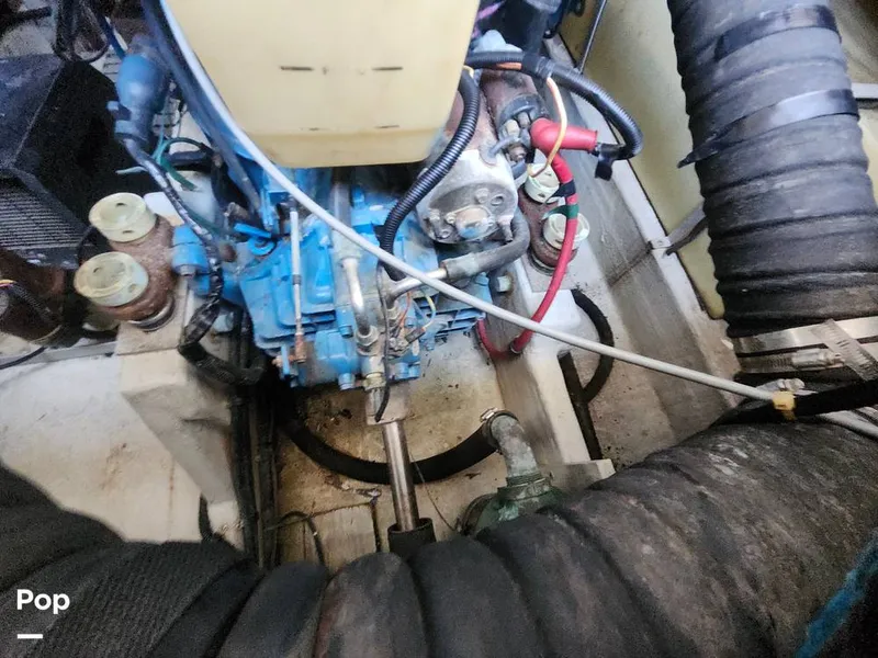 Slide: The Image of Tiara 3100 Open 1993 - 16053437