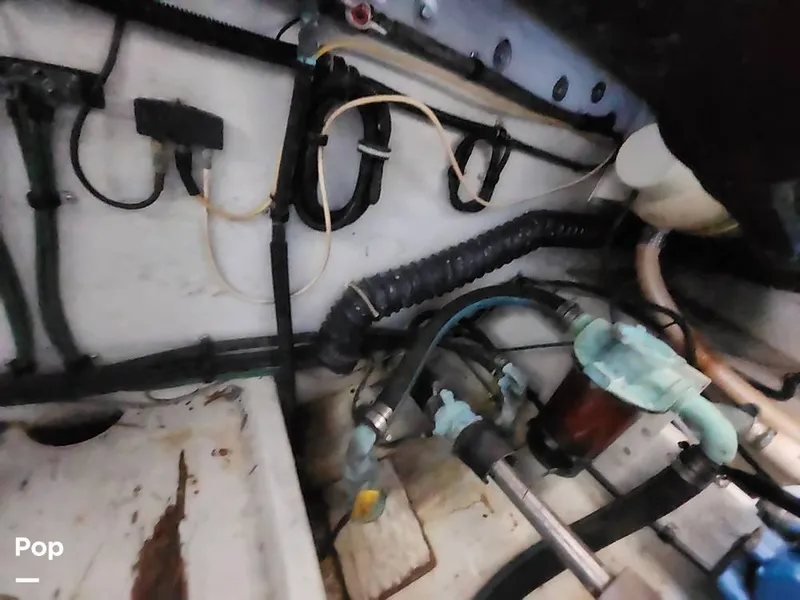 Slide: The Image of Tiara 3100 Open 1993 - 16053439