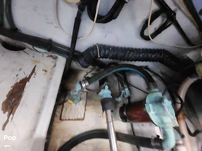 Slide: The Image of Tiara 3100 Open 1993 - 16053441