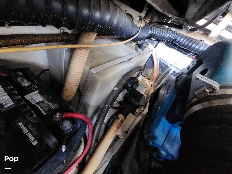 Slide: The Image of Tiara 3100 Open 1993 - 16053448