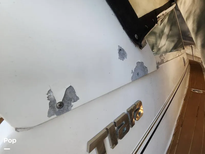 Slide: The Image of Tiara 3100 Open 1993 - 16053357