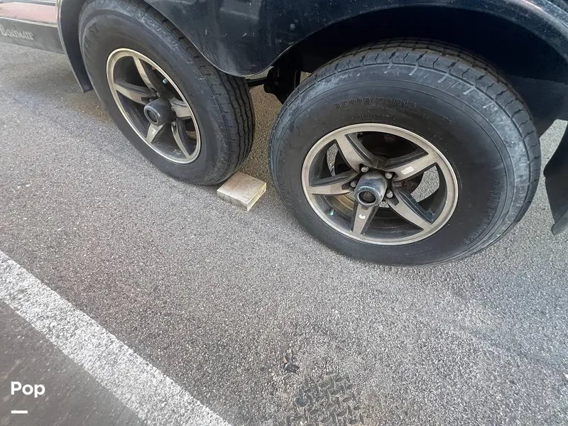 Slide: The Image of Tige Z3 2022 - 16127522