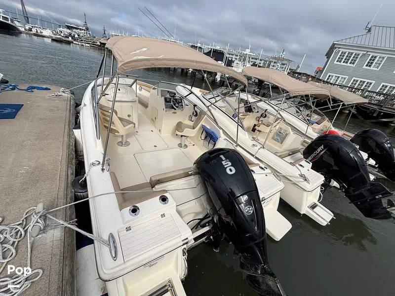 The Image of Scout 210 Dorado 2023 - 16108476