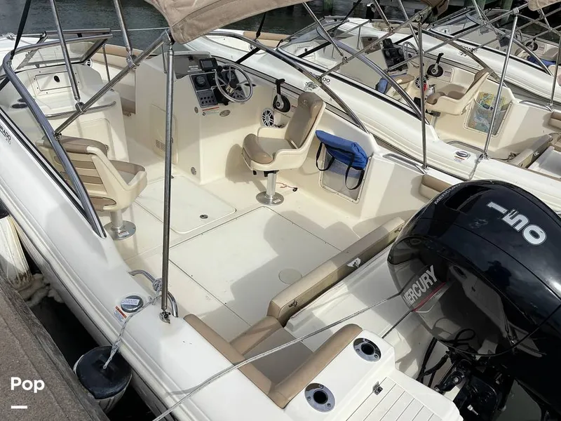 Slide: The Image of Scout 210 Dorado 2023 - 16108483