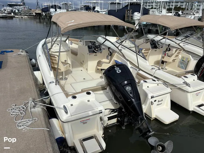 Slide: The Image of Scout 210 Dorado 2023 - 16108487