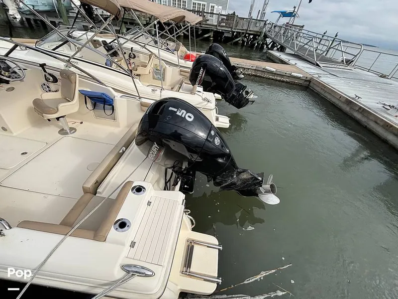 Slide: The Image of Scout 210 Dorado 2023 - 16108475