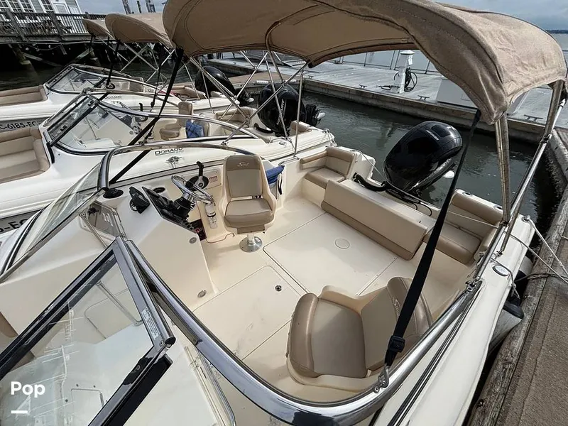 Slide: The Image of Scout 210 Dorado 2023 - 16108478