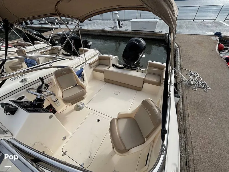 Slide: The Image of Scout 210 Dorado 2023 - 16108479