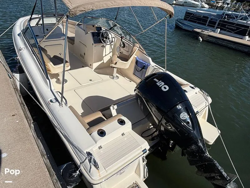 The Image of Scout 210 Dorado 2023 - 16062814