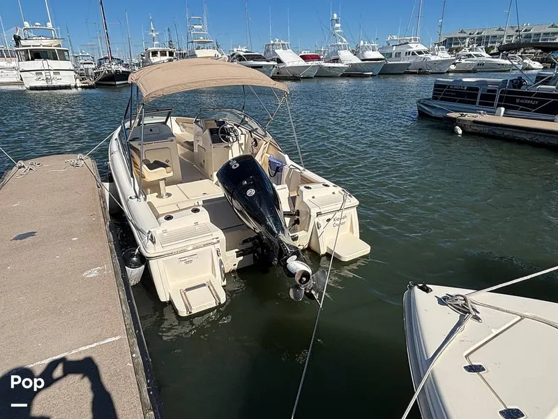 Slide: The Image of Scout 210 Dorado 2023 - 16062945