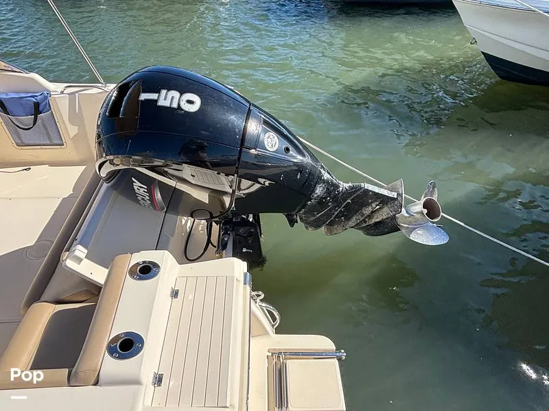 Slide: The Image of Scout 210 Dorado 2023 - 16062949