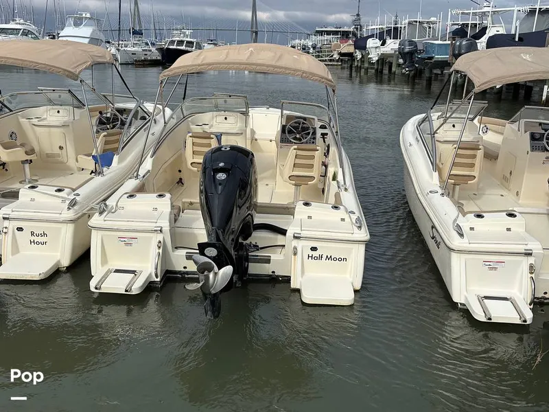 The Image of Scout 210 Dorado 2023 - 16108324