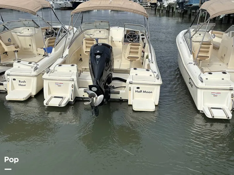 Slide: The Image of Scout 210 Dorado 2023 - 16108325