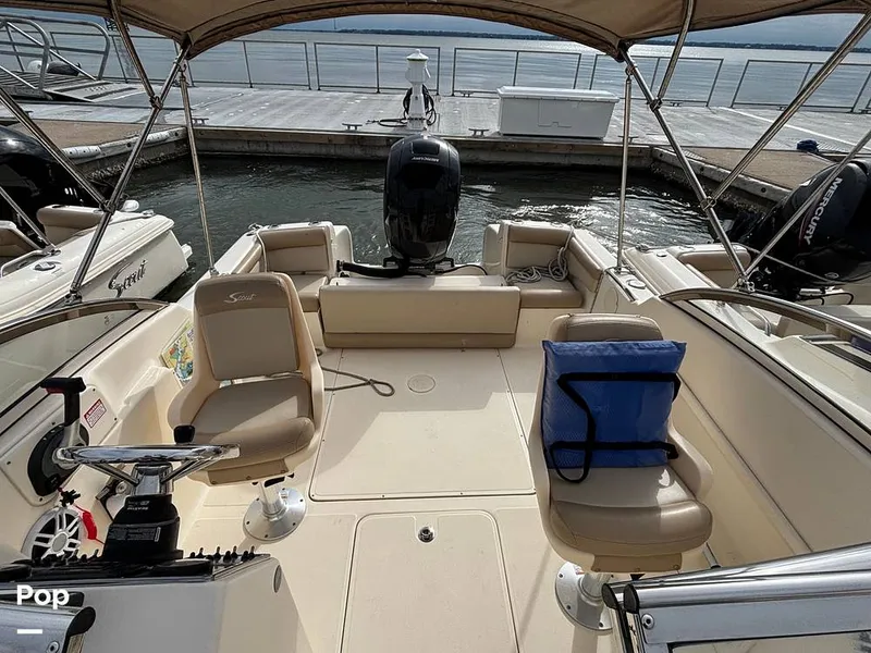 Slide: The Image of Scout 210 Dorado 2023 - 16108317